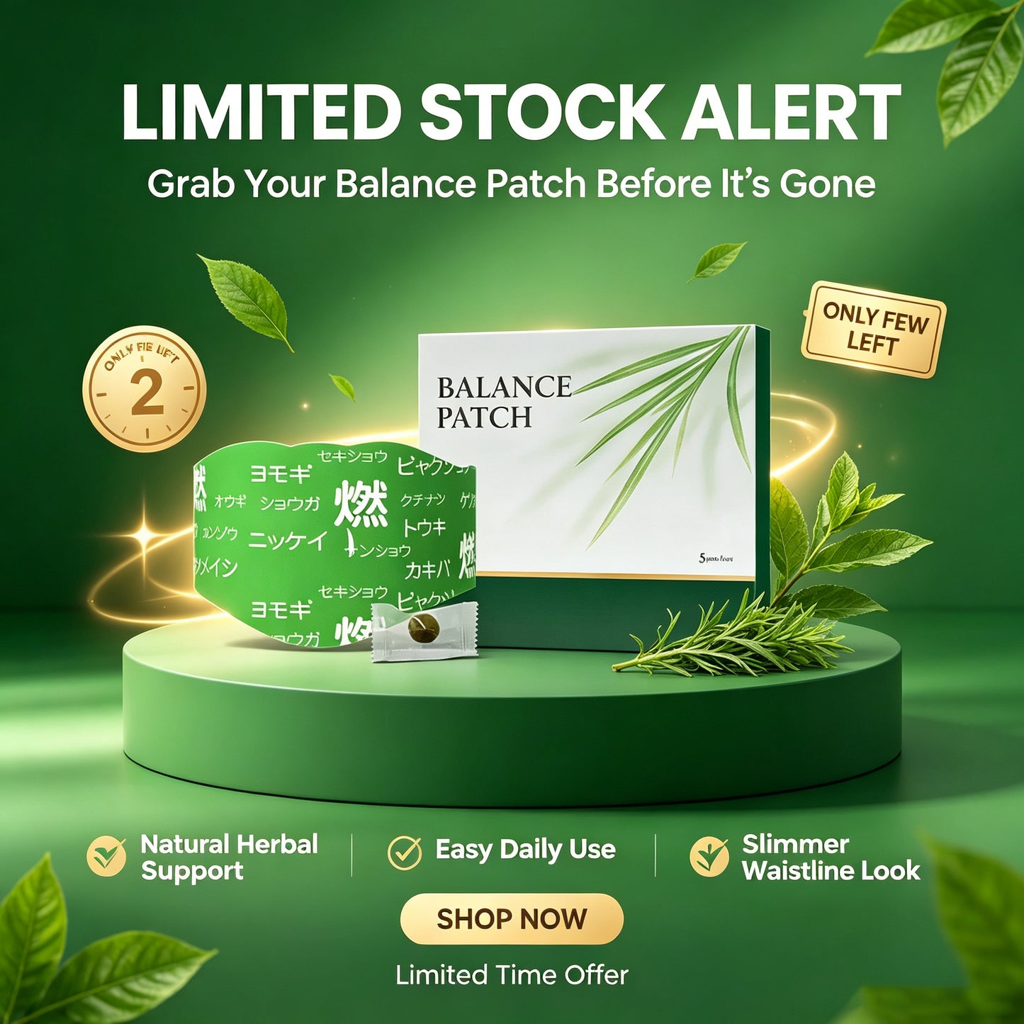 Hushvein Herbal Balancing Patch-Herbal Conditioning-Maximum Fat Burning