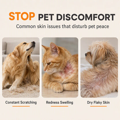 🐶Pet Itch Relief Spray – Fast-Acting Skin Soothing Care | 🔥 Limited 50% OFF NOW